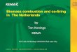 Biomass combustion and co-firing in The Netherlandstask32.ieabioenergy.com/wp-content/uploads/2017/03/08_Ton-Konings.… · Biomass combustion and co-firing in The Netherlands by