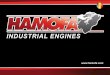 Wat doet HAMOFA? Europa. “Kwaliteit is onze grootste prioriteit” Revisie van dieselmotoren HAMOFA staat bekend om haar ervaren mecaniciens en moderne, hightechmachines wat resulteert