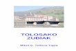 TOLOSAKO ZUBIAK - Goitik · MIKEL G. TELLERIA TAPIA MONOGRAFIAS – 08 2 PUENTES DE TOLOSA Los puentes han tenido una importancia vital en el desarrollo de la mayoría de las culturas