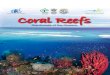 Coral Reefs - Mangroves for the Future (MFF) I am pleased that the Mangrove for the Future (MFF) is bringing out this illustrative publication on the Coral Reef ecosystems which are