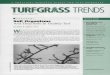 AGRONOMY Soil Organisms And Their Role In …archive.lib.msu.edu/tic/tgtre/article/1998aug.pdfAGRONOMY Soil Organisms And Their Role In Healthy Turf ... Arbuscular Mycorrhizae or "VAM"