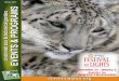 Winter 2013 EVENTS & PROGRAMS - Cincinnati Zoo …cincinnatizoo.org/wp-content/flips/edu_guides/programsW...EVENTS & PROGRAMS 4 ZOO EVENTS EVENTS & PROGRAMS 1 4 yr. Olds & Kindergarden