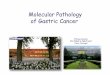 Molecular Pathology of Gastric Cancer - academia.cat · Molecular Pathology of Gastric Cancer Fátima Carneiro ... DCC (LOH) p 16 ... J Mol Med 84:1023, 2006 .Published in: Pathologe