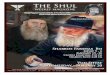 The Shul - WordPress.com€¦ · 01/01/2016 · The Shul Get The Picture The full scoop on all the great events around town The Shul Weekly Magazine Everything you need for every