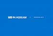 PRESS KITpress.bluebeam.com/.../uploads/2017/03/Bluebeam-2017-Press-Kit.pdf · PRESS KIT. WHO WE ARE ... USE BLUEBEAM REVU 800 BLUEBEAM USER GROUP ... guide Bluebeam’s technologies