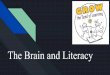 Literacy and the Brain GTSL - planttheseedoflearning.org than an adults (Pam Schiller, 2010) Between 1 ½ and four-years-old the brain experiences the most vigorous growth, ... ABC’s