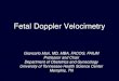 Fetal Doppler Velocimetry - Erlangers Presentations for...Fetal Doppler Velocimetry Giancarlo Mari, MD, MBA, FACOG, FAIUM ... Doppler Effect: Application to Obstetrics Mari. The Doppler