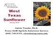 West Texas Sunflower - Texas A&M Universitylubbock.tamu.edu/files/2014/06/Texas-High-Plains-Sunflower... · West Texas Sunflower January 2014 Calvin Trostle, Ph.D. Texas A&M AgriLife