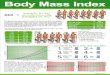 Body Mass Index Factsheet as PDF (1,5 MB) - bmi-club.de · The Body Mass Index (BMI) is invented in the 19. century by Adolphe ... Obesity 1 Obesity 2 Obesity 3 BMI 19-24,9 25-29,9