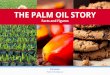 THE PALM OIL STORY - palmoilandfood.eu Palm Oil... · > Palm oil offers a good balance between the nutritional composition