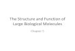 The Structure and Function of Large Biological Moleculesblinderl/documents/CH5biomoleculespost.pdf · The Structure and Function of Large Biological Molecules ... Proteins 4. Nucleic