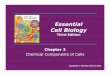 Essential Cell Biology - Chemical Engineering - UC …ceweb/courses/che170/files...Figure 2-4 Essential Cell Biology (© Garland Science 2010) Figure 2-7 Essential Cell Biology (©