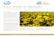 Fact sheet on Biofuels - IUCN · Fact sheet on Biofuels ... fossil biomass (recently living organisms and their metabolic by-products). ... IUCN signed an MOU to work with