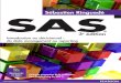 Introduction au décisionnel : S. Ringuedé Sébastien ... · Base SAS®, SAS® 6.12, SAS® 8.2, SAS®9, SAS® 9.1.3, SAS® 9.2, SAS® 9.3, SAS® 9.4, SAS® Data Integration Studio,