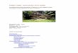 Architectural Restoration Criteria in the Maya Area - FAMSI · Architectural Restoration Criteria in the Maya Area . ... archaeology would go first and the restorer would be incorporated