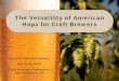 The Versatility of American Hops for Craft Brewers Versatility of American Hops for Craft Brewers 2. History of U.S. Hybrids of European Aroma Hops 3. Pilot Brew Presentations •