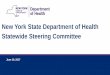 New York State Department of Health Statewide … York State Department of Health . Statewide Steering Committee. June 19, ... Capital/Hudson Valley ... Standardization