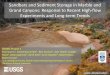 Sandbars and Sediment Storage in Marble and Grand … · 2Northern Arizona University photo : ... Gorge Furnace Flats Granite Gorge ... Field-scale LES PIV in flume