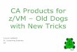 CA Products for z/VM – Old Dogs with New Tricks fileCopyright 2002, Computer Associates International, Inc Legal Certain information in this presentation may outline CA’s general