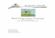 Red Sings Treetops JLGGuide - Joyce Sidman Summary Take an amazing journey through the seasons in Joyce Sidman’s ... example of a short poem. Explain that not all poems rhyme, 