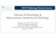 01 Anatomy & Embryology Histology, Macroscopic … Phlebology Review Course Venous Embryology & Macroscopic Anatomy & Histology SanjeevaKalvaMD, RPVI, FSIR Chief, Interventional Radiology