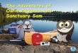 Welcome to the Adventures of NOAA’s Owlie and Owlie's 2016...Welcome to the Adventures of NOAA’s Owlie Skywarn and Sanctuary Sam! This book will highlight numerous resources related