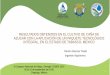 Presentación de PowerPoint - comeii.comcomeii.com/comeii2016/congreso2016/php/ponencias/presentacion/... · •Instalación de sistema de riego presurizado con tubería enterrada