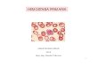 HEMOSTASIA PRIMARIA - ecaths1.s3.amazonaws.comecaths1.s3.amazonaws.com/hematologiaclinicafacena/1440277283... · son sepsis meningococica y cid plaquetopenia: causas hemostasia primaria