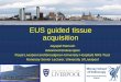 EUS guided tissue acquisition - Nottingham Digestive ... guided tissue acquisition Jayapal Ramesh Advanced Endoscopist Royal Liverpool and Broadgreen University Hospitals NHS Trust