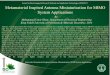 Forum for Electromagnetic Research Methods and ... Inspired Antenna Miniaturization for MIMO System Applications By: Muhammad Umar Khan, Department of Electrical Engineering King Fahd