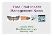 Tree Fruit Insect Management News · Celeste Welty Ohio State University January 2010 . Tree Fruit Insect Management ... • Lorsban 4E