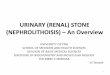 URINARY (RENAL) STONE (NEPHROLITHOISIS) An …victorjtemple.com/Urinary Stones Nephrolithoisis PPP 19.pdfurinary (renal) stone (nephrolithoisis) –an overview university of png school