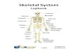 Skeletal System - Knowledge Box Central · Hemopoisis Appendicular Skeleton Skeletal System Purpose Folder 1 ... Your skeletal system is also responsible for all of the movement you