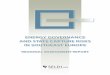 EnErgy govErnancE and StatE capturE riSkS in …sar.org.ro/wp-content/uploads/2017/01/ENERGY_BACKGROUND_04_Final.pdfand StatE capturE riSkS in SouthEaSt EuropE rEgional aSSESSmEnt