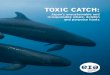 EIA Small Cetacea Hunting report 1013 EIA report 0208 · Three types of hunts target small cetaceans in Japan’s coastal waters: small-type coastal whaling, hand harpoon hunts and