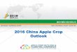 2016 China Apple Crop Outlookusapple.org/wp-content/uploads/2016/08/Thr-410-Choi.pdfZHONGLU AMERICA CORP. SDIC ZHONGLU FRUIT JUICE CO. 2016 China Apple Crop Outlook