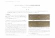 サイエンスショー「バランス大実験」実施報告nozo/publication/pb25-081.pdfE-mail：hasegawa＠sci-museum．jp 写真1．いろいろな形のやじろべえ 写真2．左右のおもりの重さが違うやじろべえ（下）