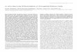 II V&I Neuronal Differentiation of Drosophila … V&I Neuronal Differentiation of Drosophila Embryo Cells Paul M. Salvaterra,’ Nicole Bournias-Vardiabasis,z Tina Nair,’ Grace