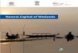 Natural Capital of Wetlands - The Economics of …img.teebweb.org/wp-content/uploads/2017/03/TEEB-India...Email: wi.southasia@wi-sa.org URL: Wetlands International @WetlandsInt Wetlands
