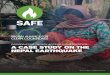 A CAse study on the nepAl eArthquAke - Safe Access to …safefuelandenergy.org/files/Nepal Case Study(2.9.16).pdf · Coordinating EnErgy aCCEss in EmErgEnCiEs: A CAse study on the