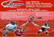 16U tournament...Lou Gehrig Girls Fastpitch Softball AMHERST, NY Corner of Smith & Dann Road East Amherst NY 14051 15th Annual Summer Classic Location(s) Our tournament will be held