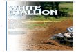 n WHITE STALLION - Wiseco · WHITE STALLION A 2010 CRF250R touched by Wiseco While out east in Ohio (any- ... blow-by. ArmorGlide permanent skirt coating reduces friction