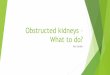 Obstructed kidneys – What to do? - SASUOG kidneys – What to do? Des Sankar. ... AP Diameter Second Trimester ... Grade 3:- Renal pelvis and calices dilated