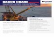 DACON CRANE INSPECTION€¦ ·  · 2018-03-30• Reduce risk of accidents, injuries and death Por Jor 1&2 ... uninterrupted crane operation. ... Gantry crane RTG crane Quay crane