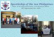 Apostleship of the Sea Philippines - icma.asicma.as/wp-content/uploads/2016/10/26-September-2016-Apostleship...Apostleship of the Sea Philippines ... the church on the pastoral care