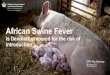 African Swine Fever - cphpig.ku.dkcphpig.ku.dk/seminarer/up-to-date-2018/ASF_CPH_Pig_Seminar.pdf · sig foran tekst og grafikken, hvis dette sker, skal du vælge billedet, ... African