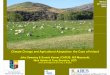 Climate Change and Agricultural Adaptation: the Case of ... · Climate Change and Agricultural Adaptation: the Case of Ireland ... Soil Parameters used in the DSSAT Model SALB Albedo,