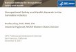 Occupational Safety and Health Hazards in the … Institute for Occupational Safety and Health Occupational Safety and Health Hazards in the Cannabis Industry Bradley King, PhD, MPH,