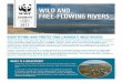 © Jeremy HARRISON / WWF-Canada WILD AND FREE-FLOWING RIVERSassets.wwf.ca/downloads/WildRiver_Summary_FINAL2_cw.pdf · WILD AND SUMMAR Y FREE-FLOWING RIVERS CAN 2017 IDENTIFYING AND