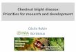 Chestnut blight disease: Priorities for research and ... · Chestnut blight disease: Priorities for research and development ... Impact of chestnut blight in Europe ... 125 Bouche